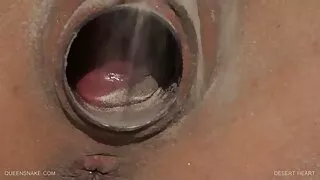 ডার্ক এক্স থেকে সুন্দর ভেনেসা স্কাইয়ের সাথে চুম্বনের ভিডিও সেক্স নেকেড ভিডিও